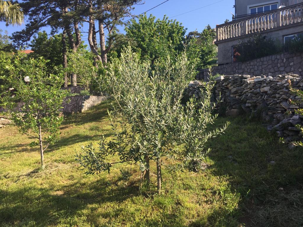 Apartment Galjanic Buzdohanj Екстер'єр фото